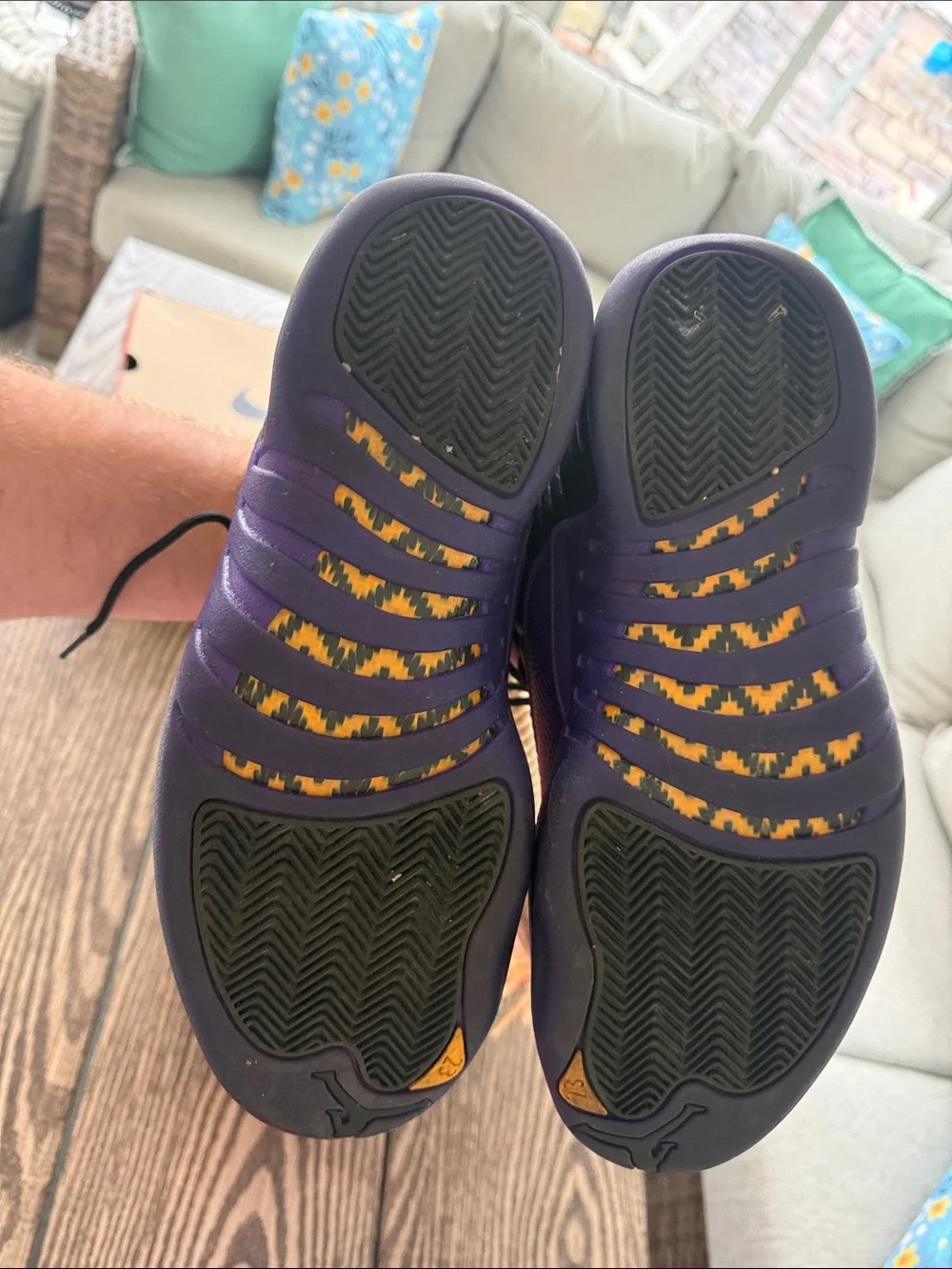Jordan 12